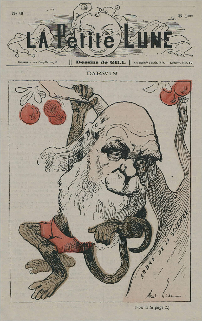 Darwin As Monkey